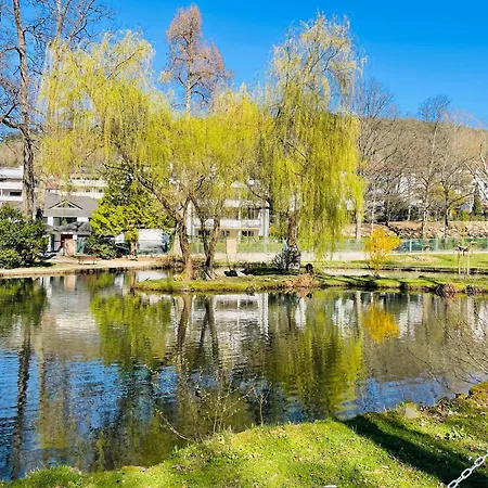 Apartamento Fuer Berufsreisende